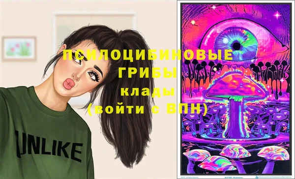 а пвп мука Богданович