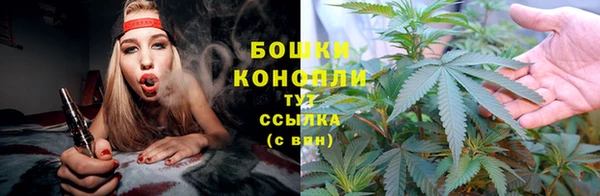 метадон Богородицк