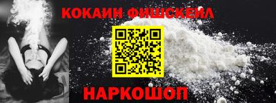 тгк Камышлов