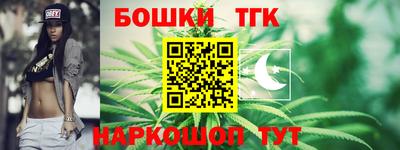 тгк Камышлов