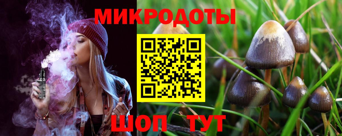 Псилоцибиновые грибы мицелий  купить наркотики сайты  Свободный  Вход с VPN 